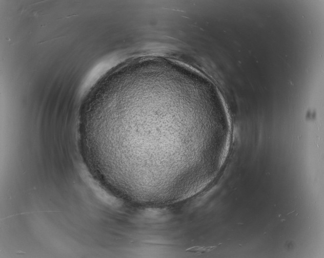 X0000112140101200909041049