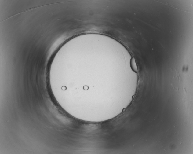 X0000112140102200909041049