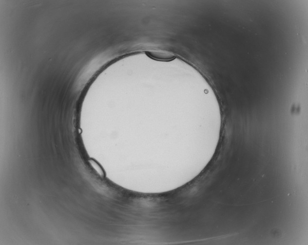 X0000112140103200909041049