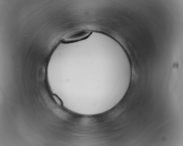 X0000112140109200909041049