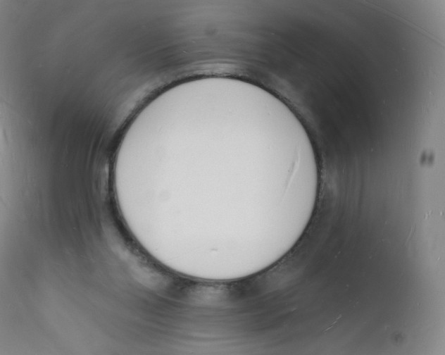 X0000112140110200909041049