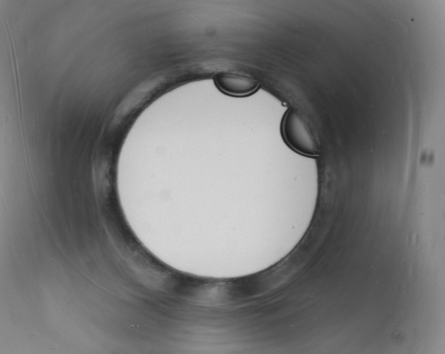 X0000112140116200909041049