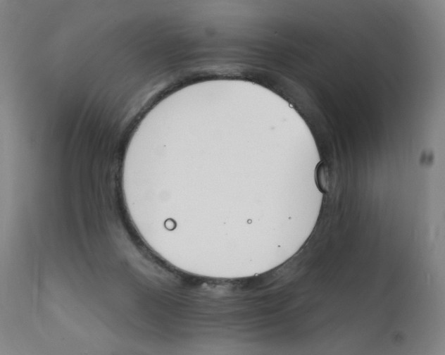 X0000112140120200909041049