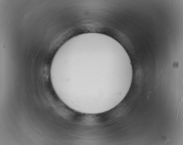 X0000112140121200909041049