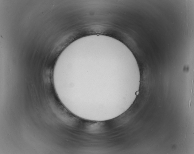 X0000112140122200909041049