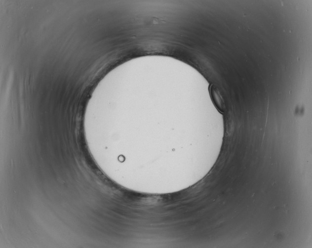 X0000112140124200909041049