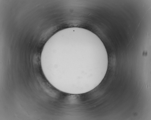 X0000112140126200909041049