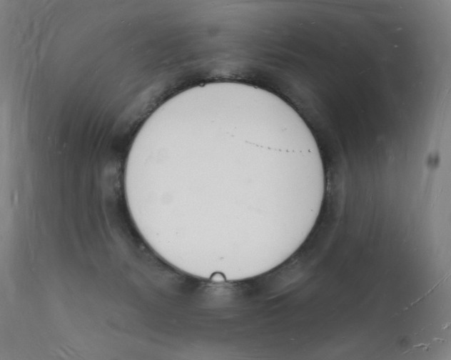 X0000112140127200909041049