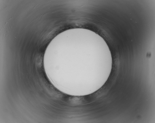 X0000112140129200909041048