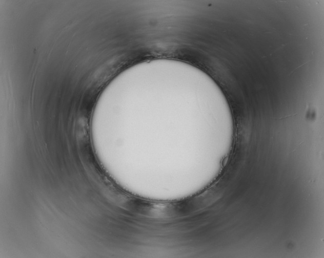 X0000112140130200909041048