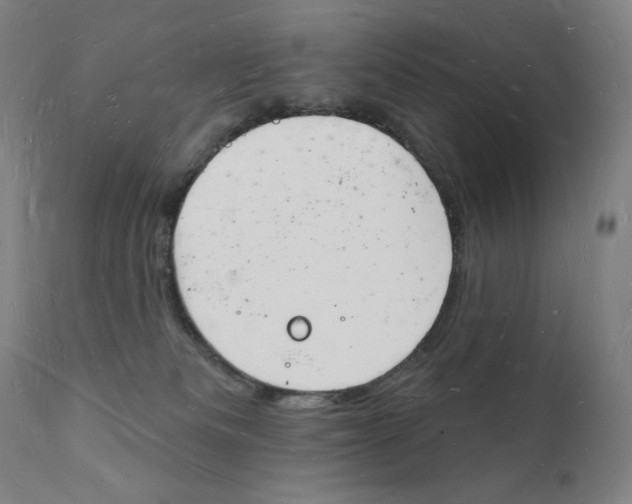 X0000112140133200909041048