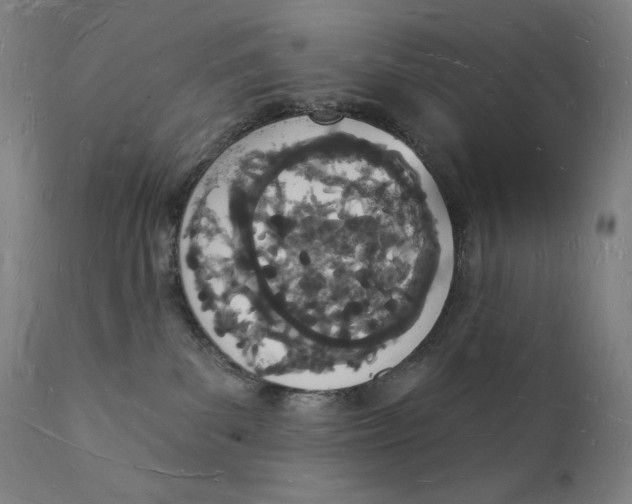 X0000112140139200909041048