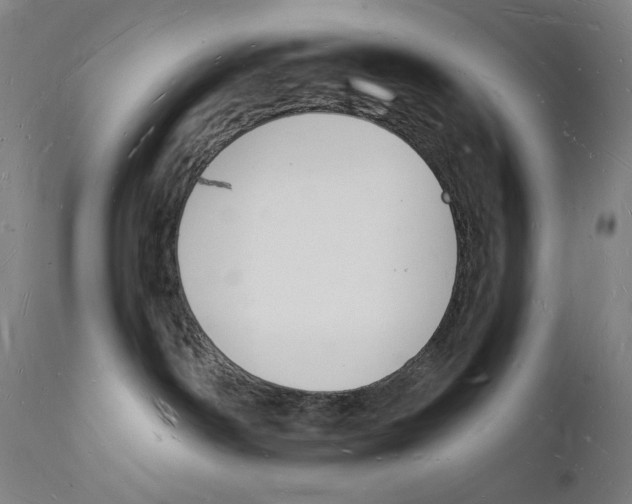 X0000112140142200909041048