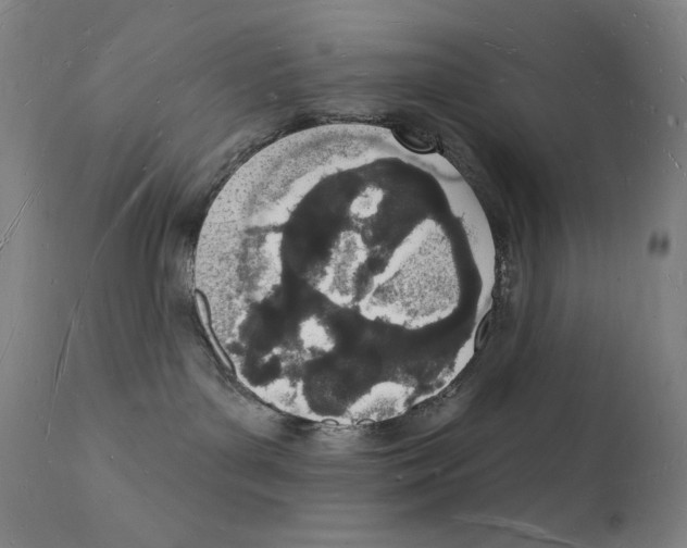 X0000112140143200909041048