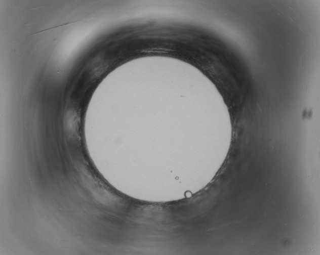 X0000112140146200909041047