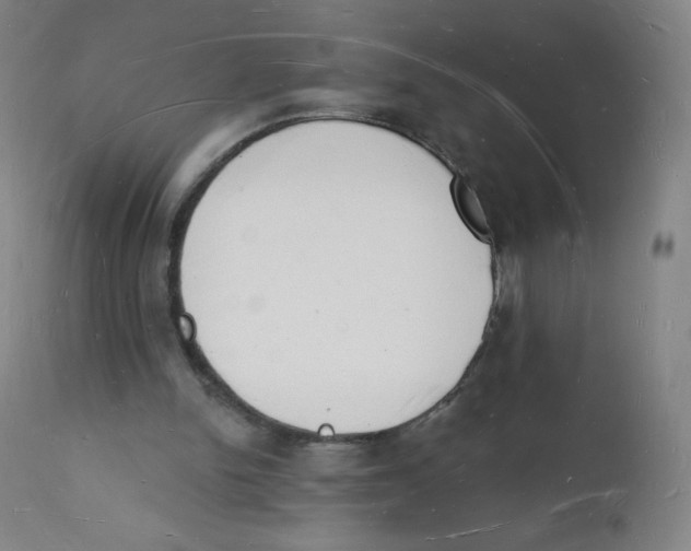 X0000112140150200909041048