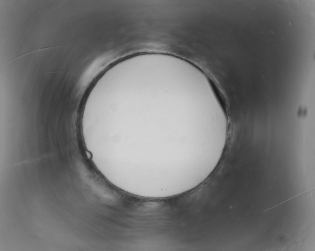 X0000112140151200909041048