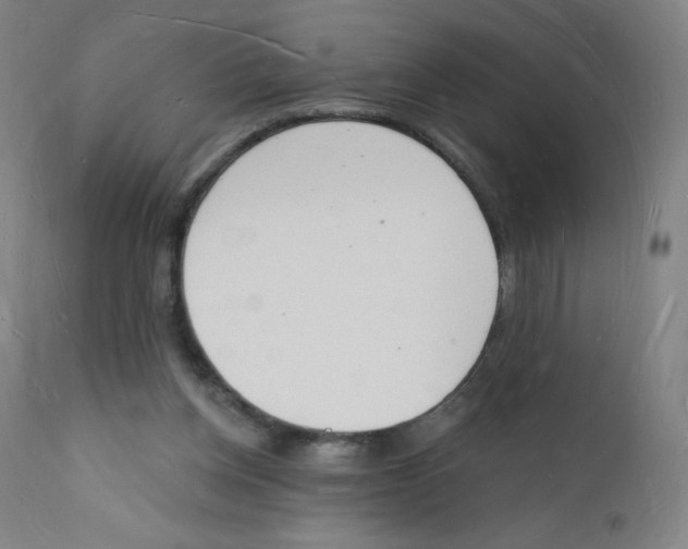 X0000112140158200909041048