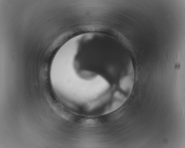 X0000112140163200909041048