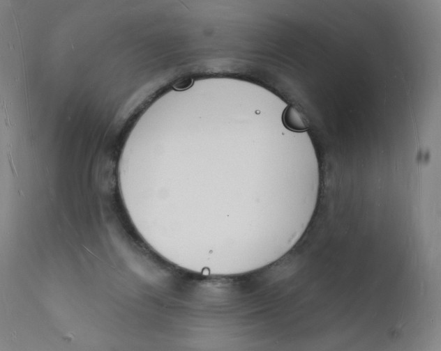 X0000112140164200909041048