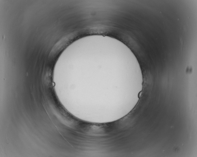 X0000112140166200909041048