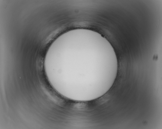 X0000112140168200909041048