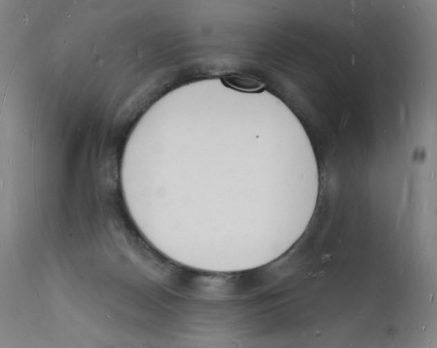 X0000112140170200909041048