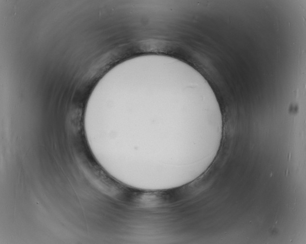 X0000112140171200909041048