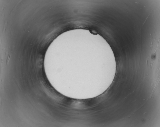 X0000112140174200909041048