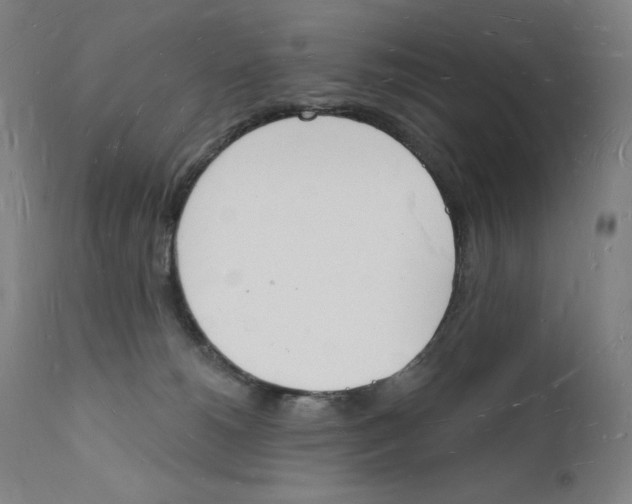 X0000112140180200909041048