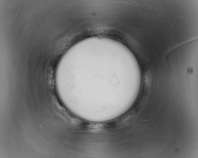 X0000112140181200909041048