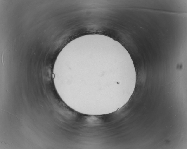 X0000112140183200909041048