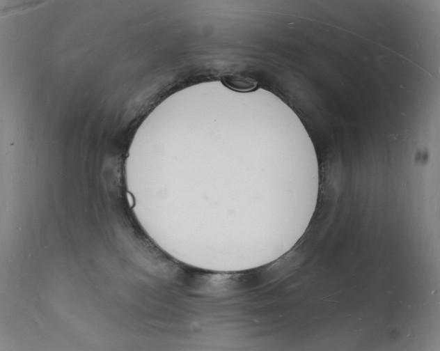 X0000112140184200909041048