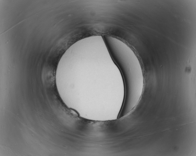 X0000112140186200909041048