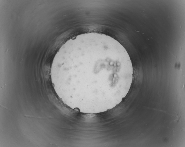 X0000112140189200909041048