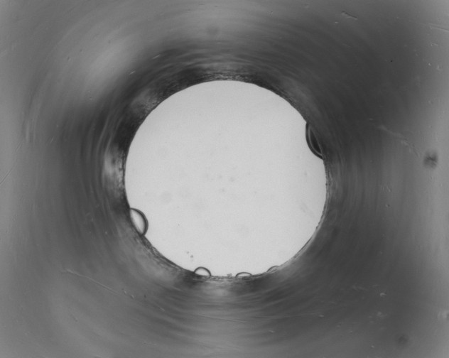 X0000112140190200909041048