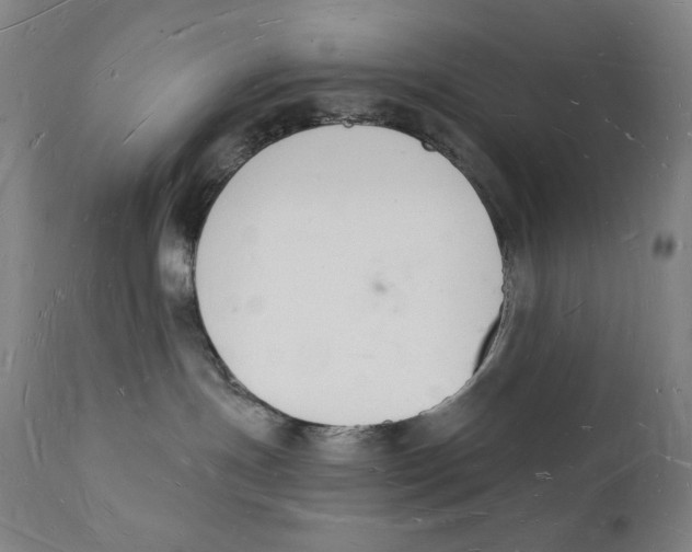 X0000112140191200909041048