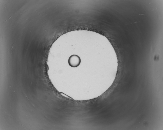 X0000112140192200909041048