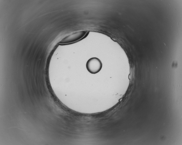 X0000112140195200909041047