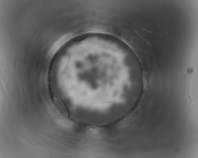 X0000112140199200909041047