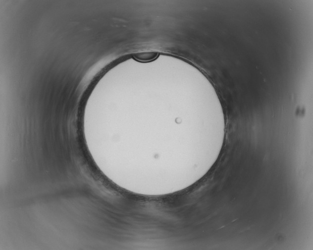 X0000112140200200909041047