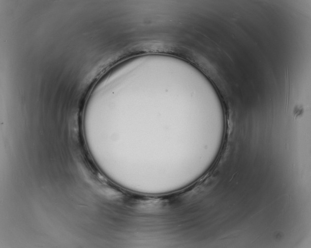 X0000112140202200909041047