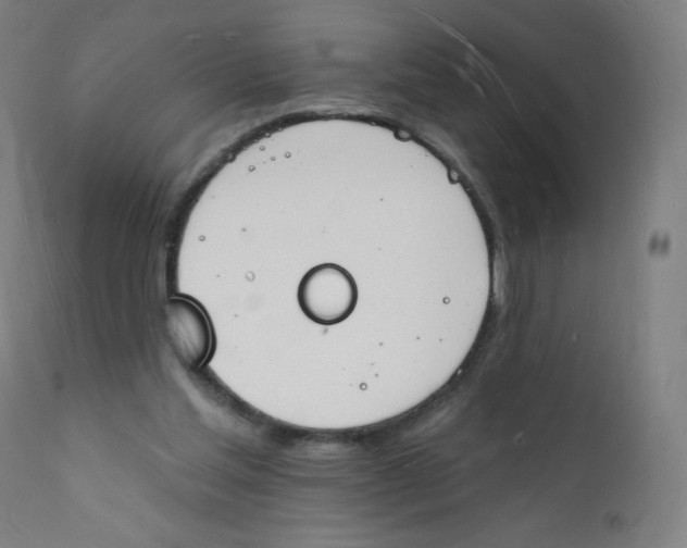 X0000112140205200909041047