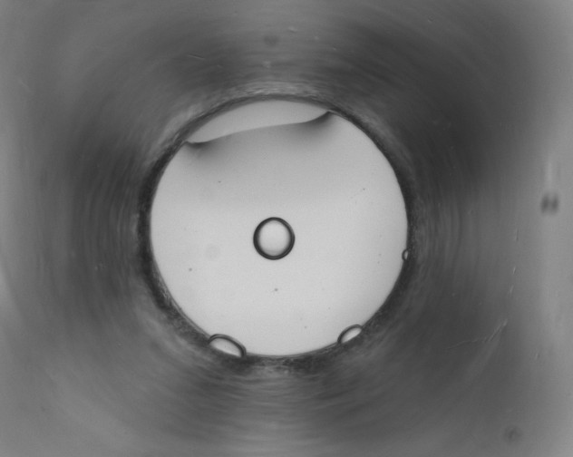 X0000112140207200909041047