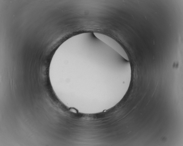 X0000112140211200909041047