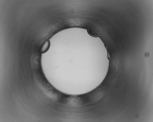 X0000112140215200909041047