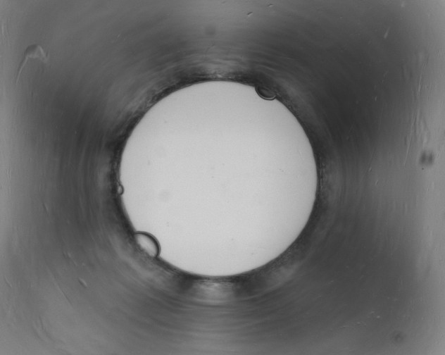 X0000112140221200909041047