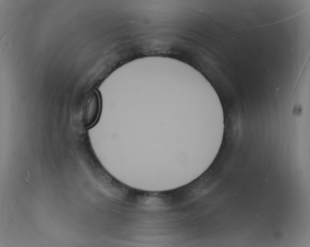 X0000112140224200909041047