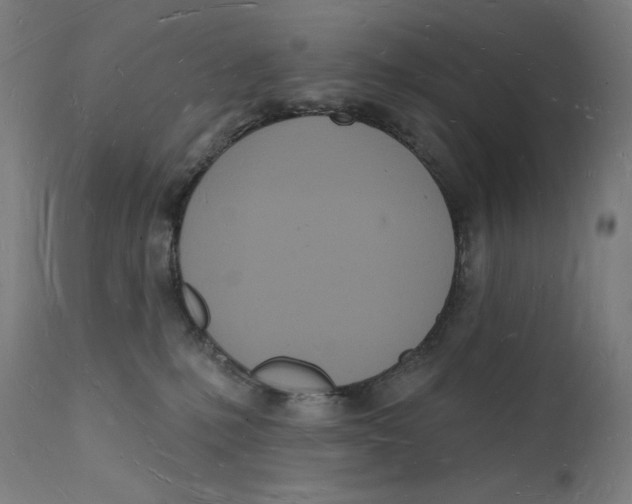 X0000112140231200909041047