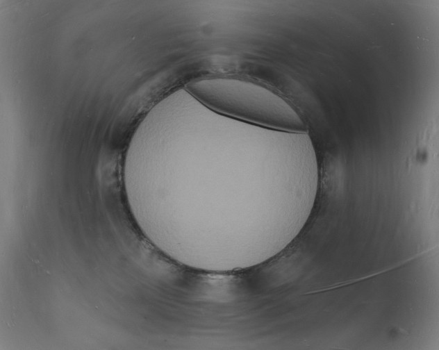 X0000112140233200909041047